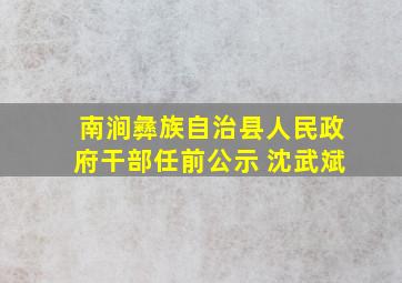 南涧彝族自治县人民政府干部任前公示 沈武斌